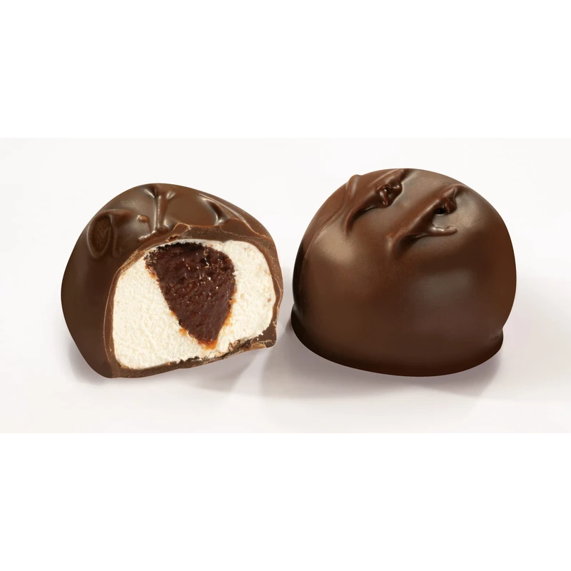 Dark Chocolate Hot Cocoa Marshmallow and Caramel