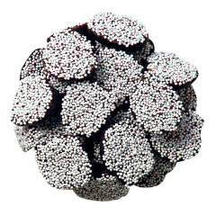 Dark Chocolate Drops with White Nonpareils